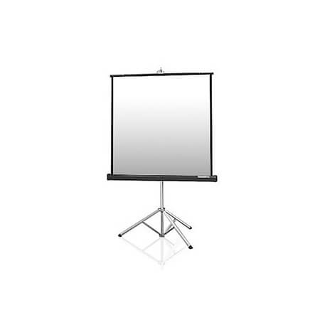 11 foot tri-pod portable projection screen